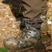 Ботинки треккинговые Elkland м.175, бежевый камуфляж